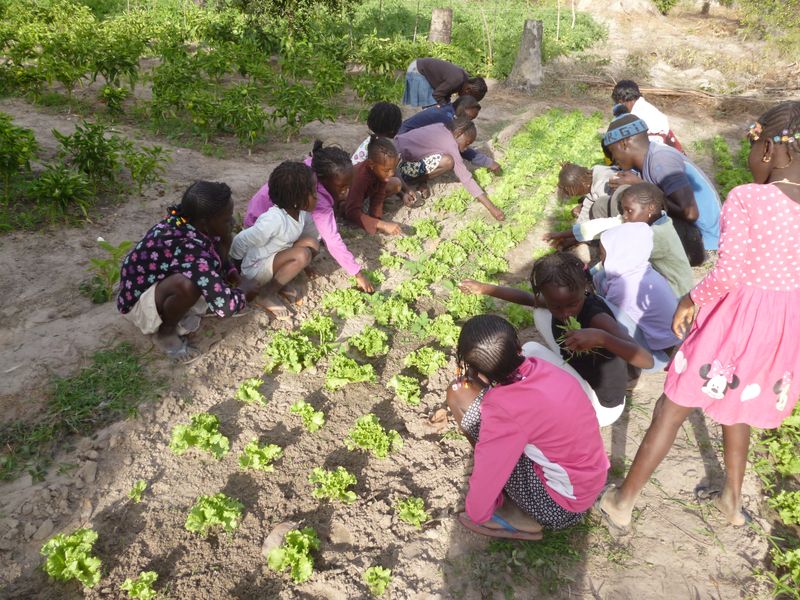 Les Enfants Du Cocon De Cabrousse Chez Tonton Alexandre Le Cocon De 
